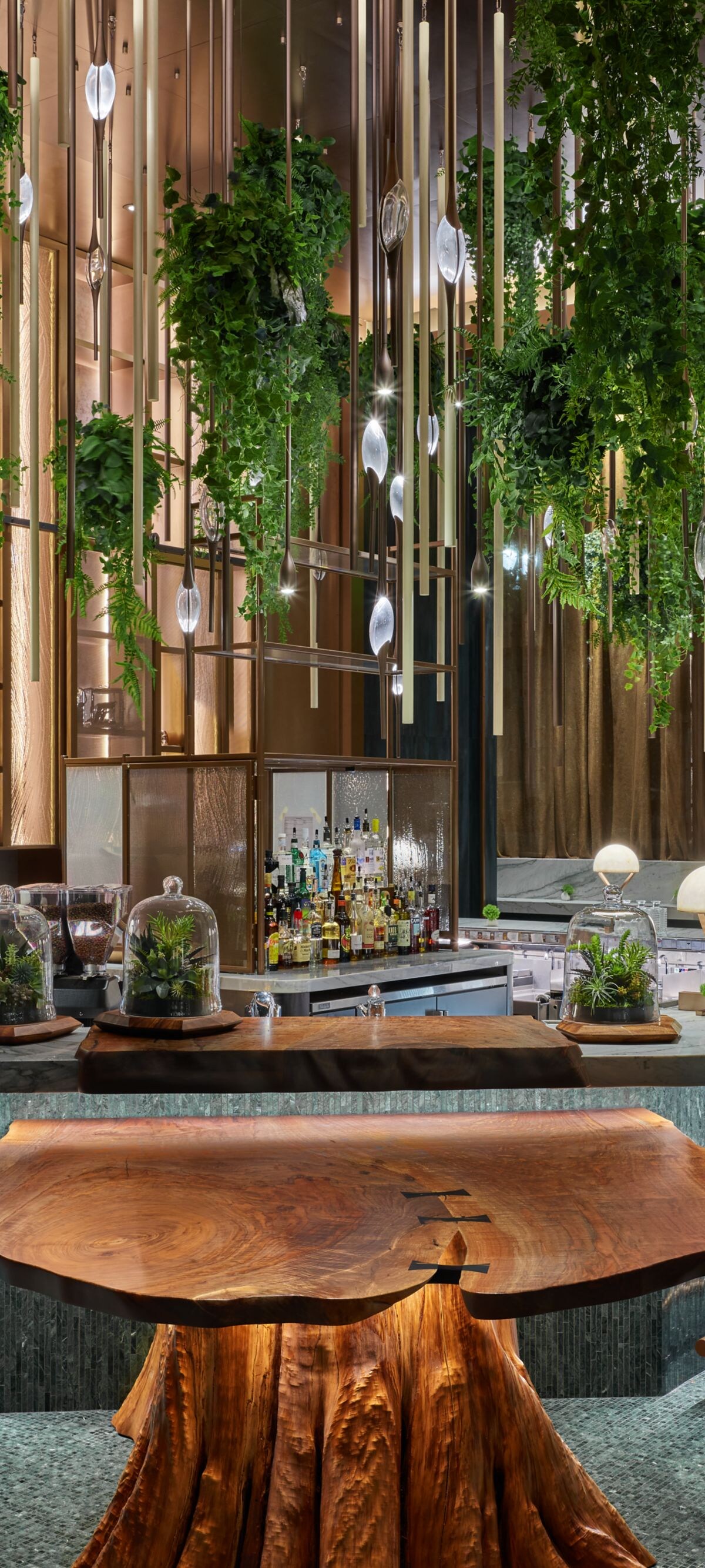 Cocktail lounge & bar