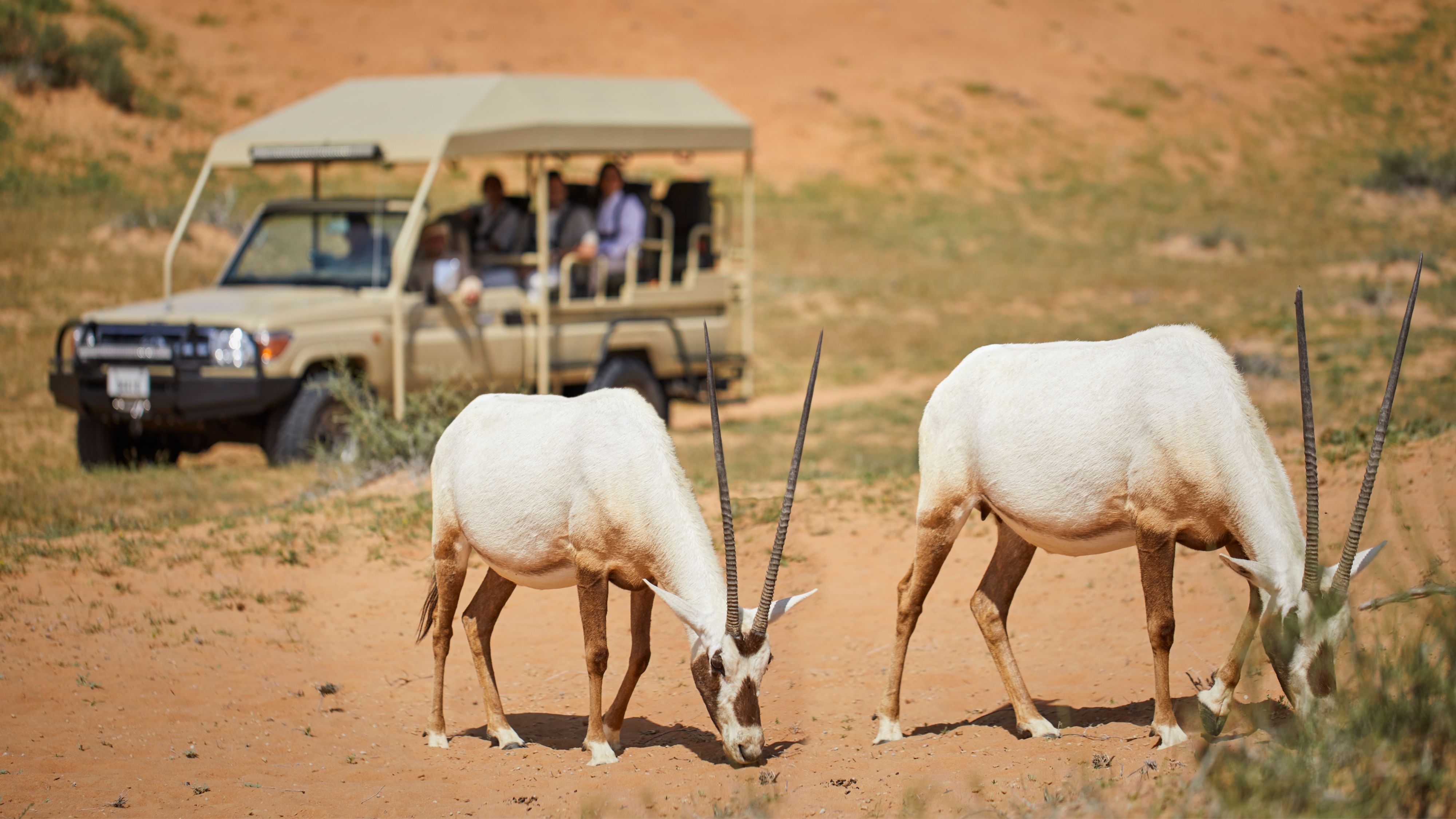 Family Adventure Package