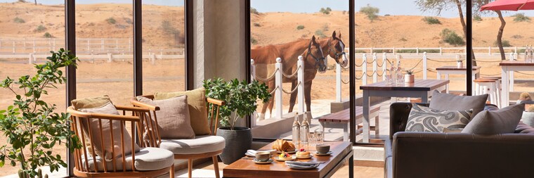 Paddock Cafe | Ras Al Khaimah Restaurant | Marriott Bonvoy