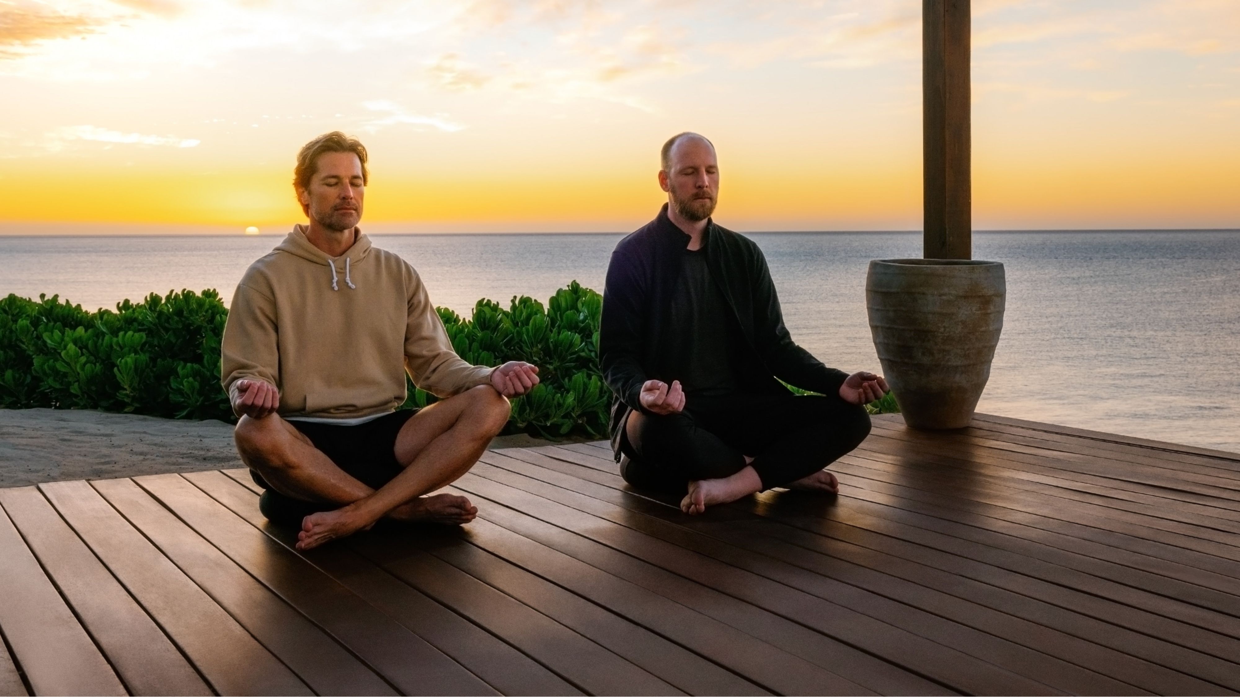 Sensei Guided Wellness Experience