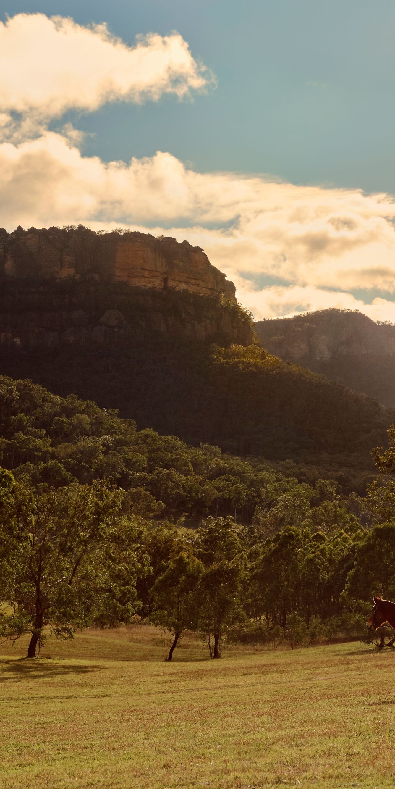 Riders beneath sandstone escarpments