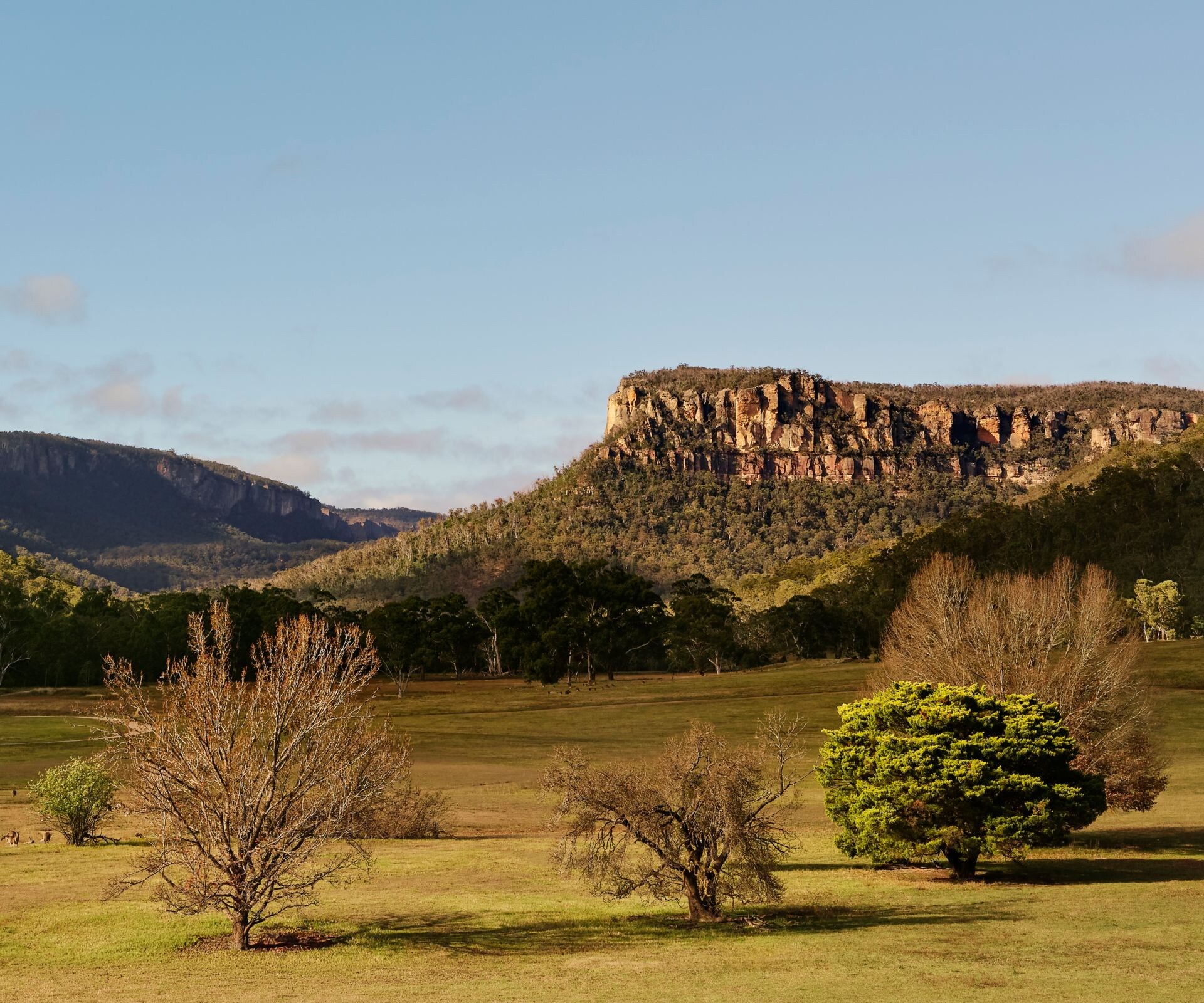 Escarpments and lawn in Wolgan Valley