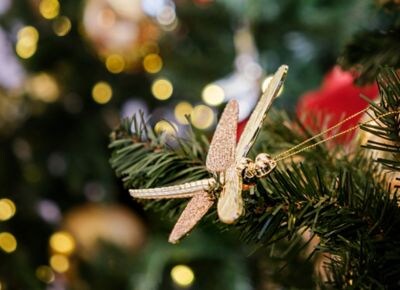 Festive Season, Decorations