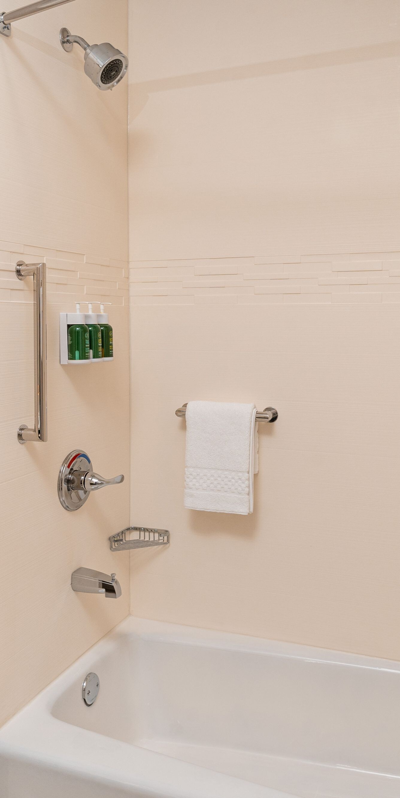 Suite Bathroom - Shower/Tub