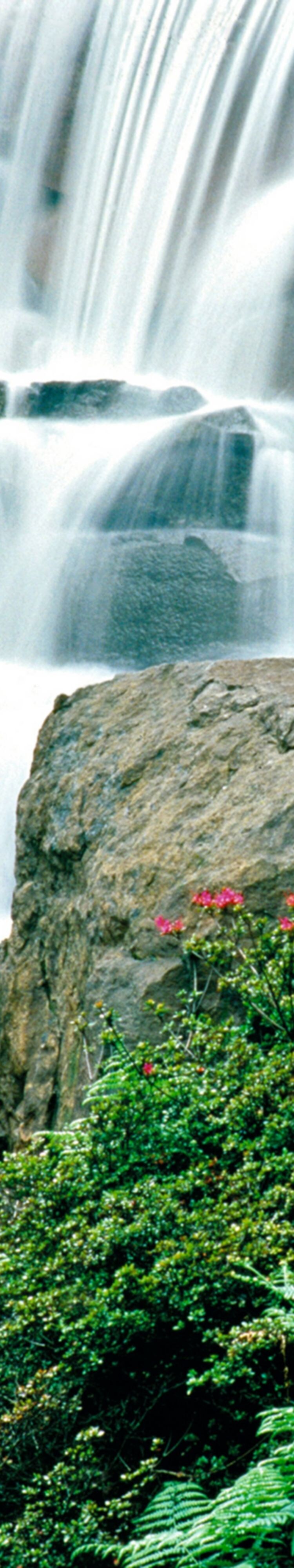 Waterfall Park Seattle
