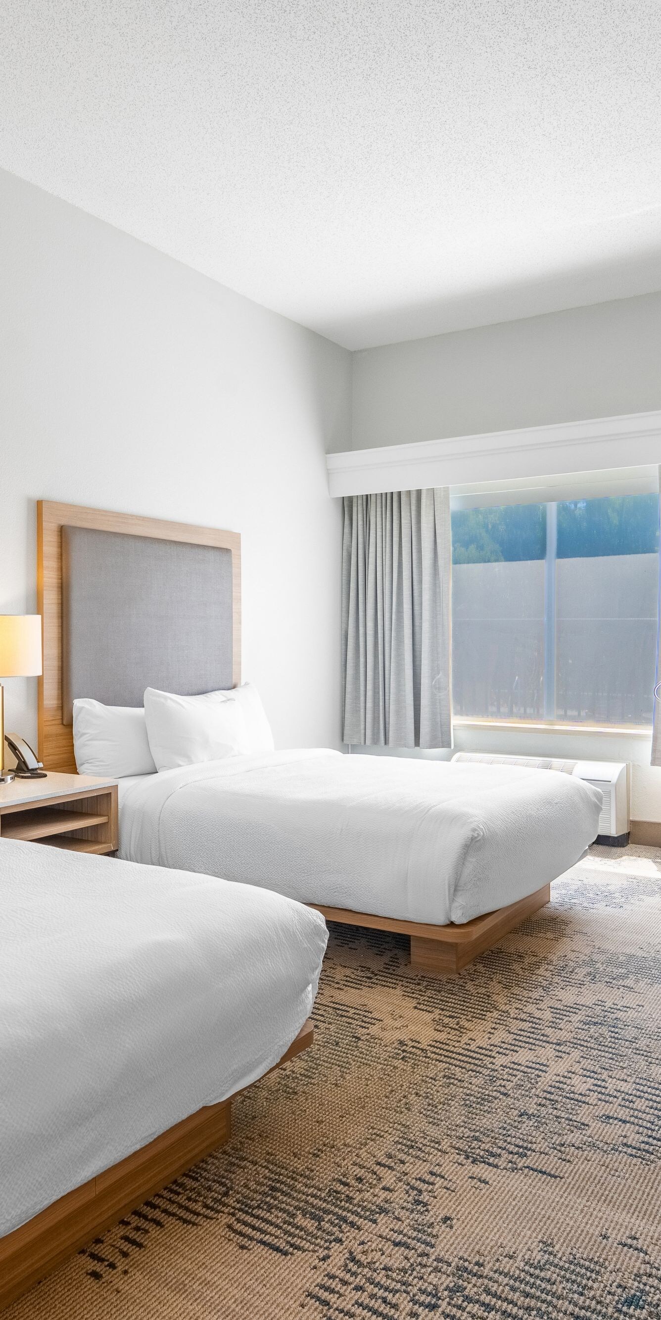 Queen/Queen and sofa bed suite is very spacious.
