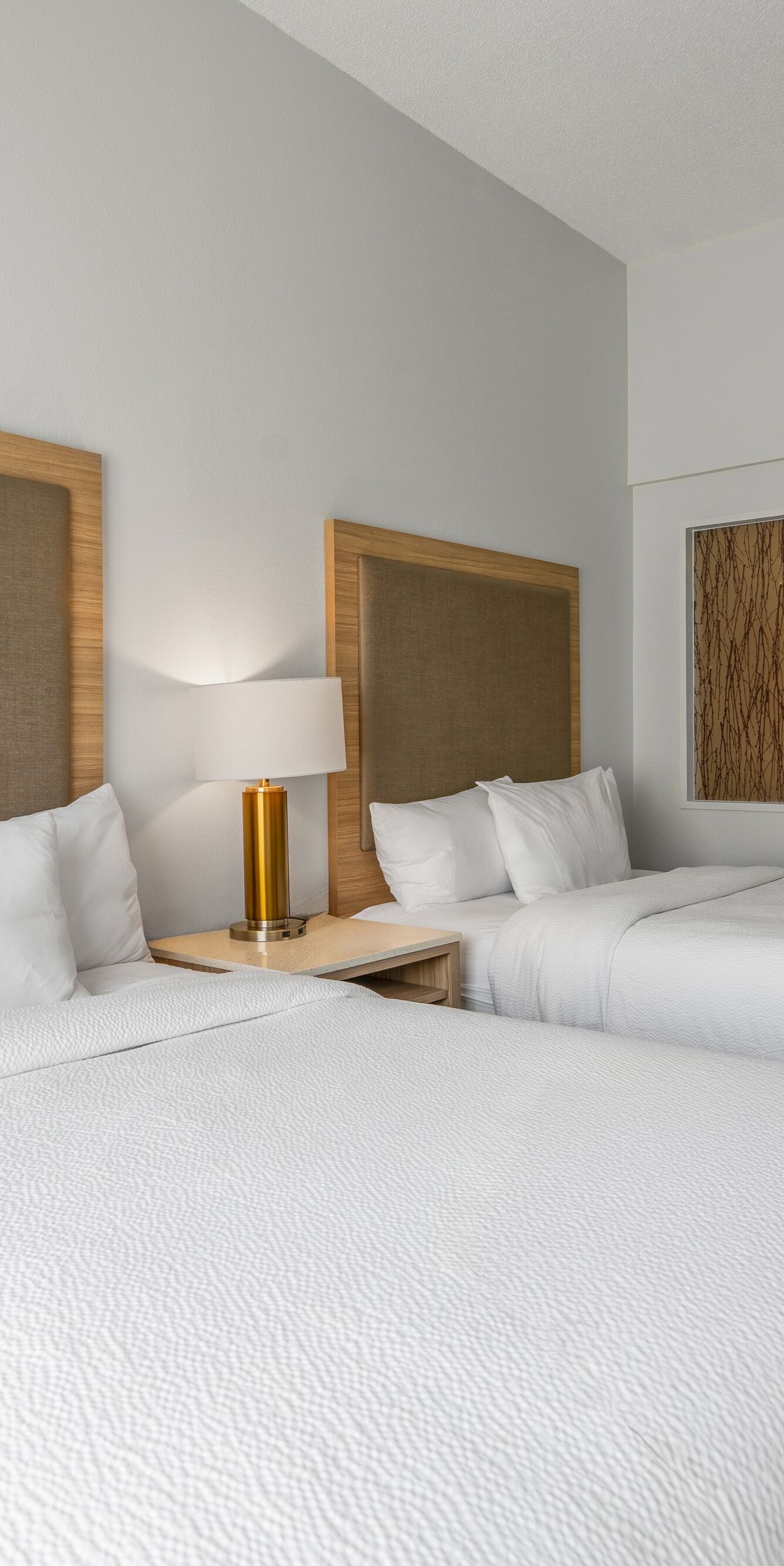 Queen/Queen with sofa bed is a spacious suite.