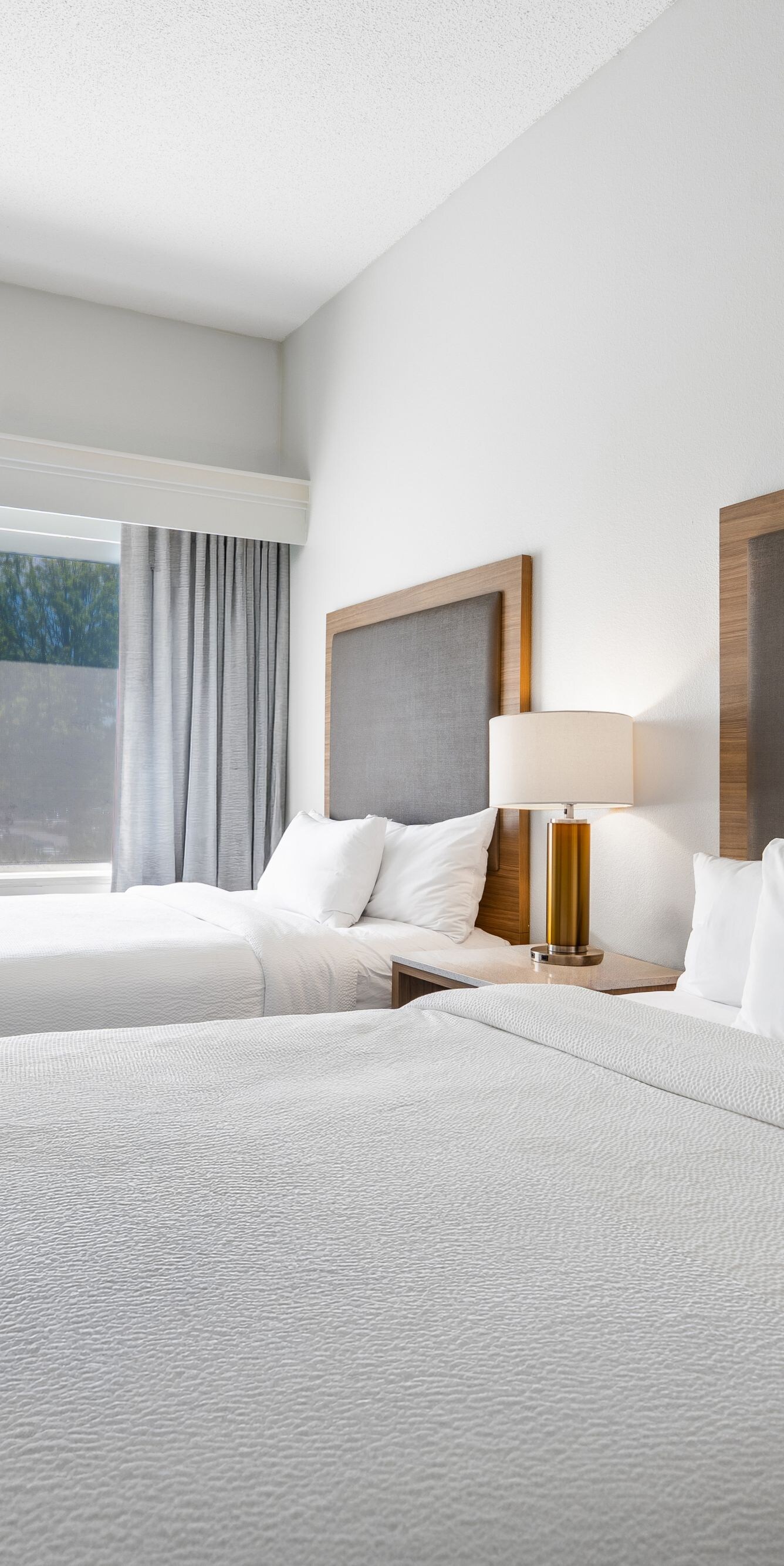 Queen/Queen Suite with ample natural light.
