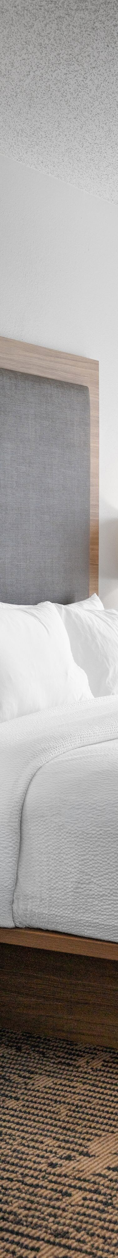 King Suite with Sofa bed