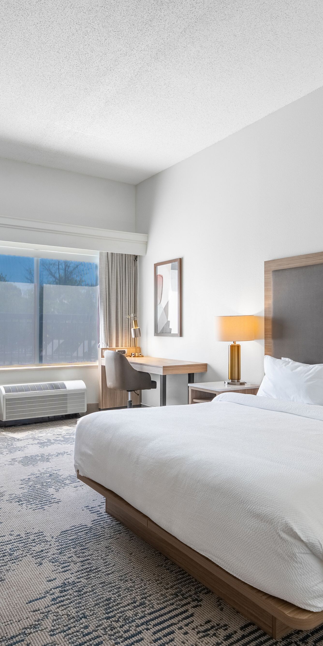 King Suite with sofa bed is very spacious.