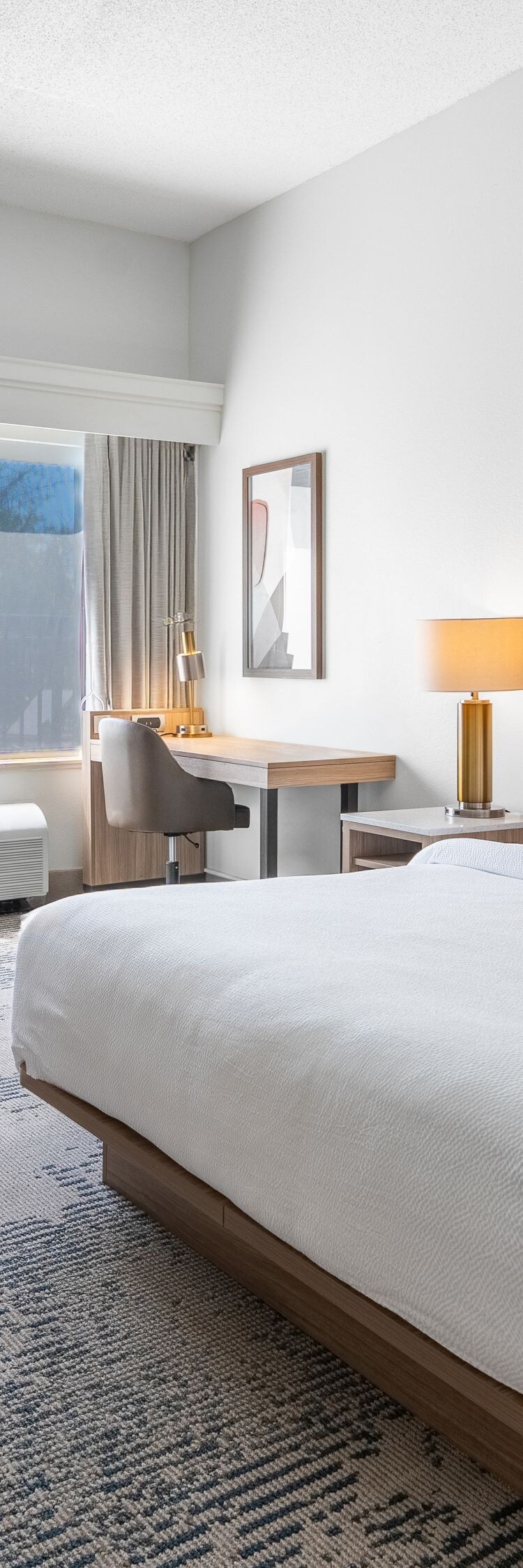 King Suite with sofa bed is very spacious.