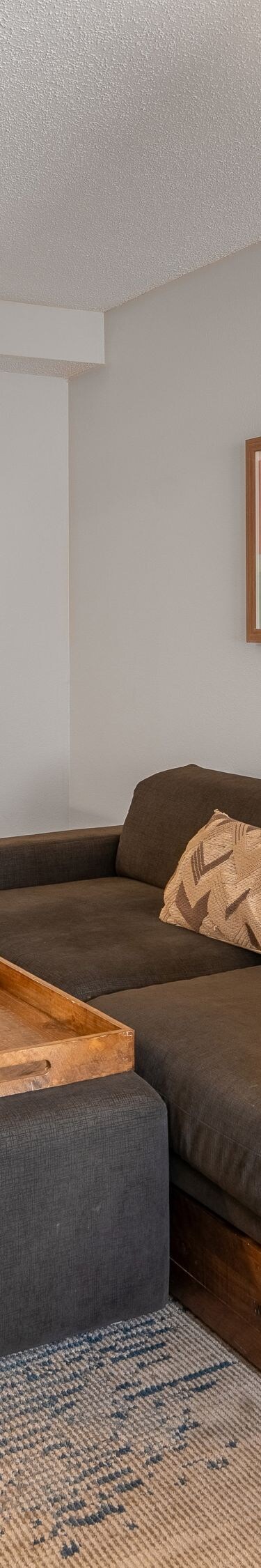 West Elm Trundle Sofa/Daybed, best for team travel