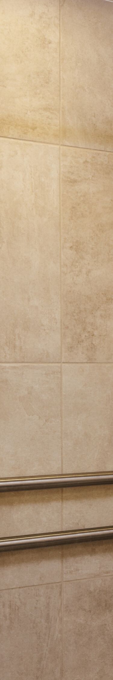 Accessible Roll-in shower with grab bars and seat