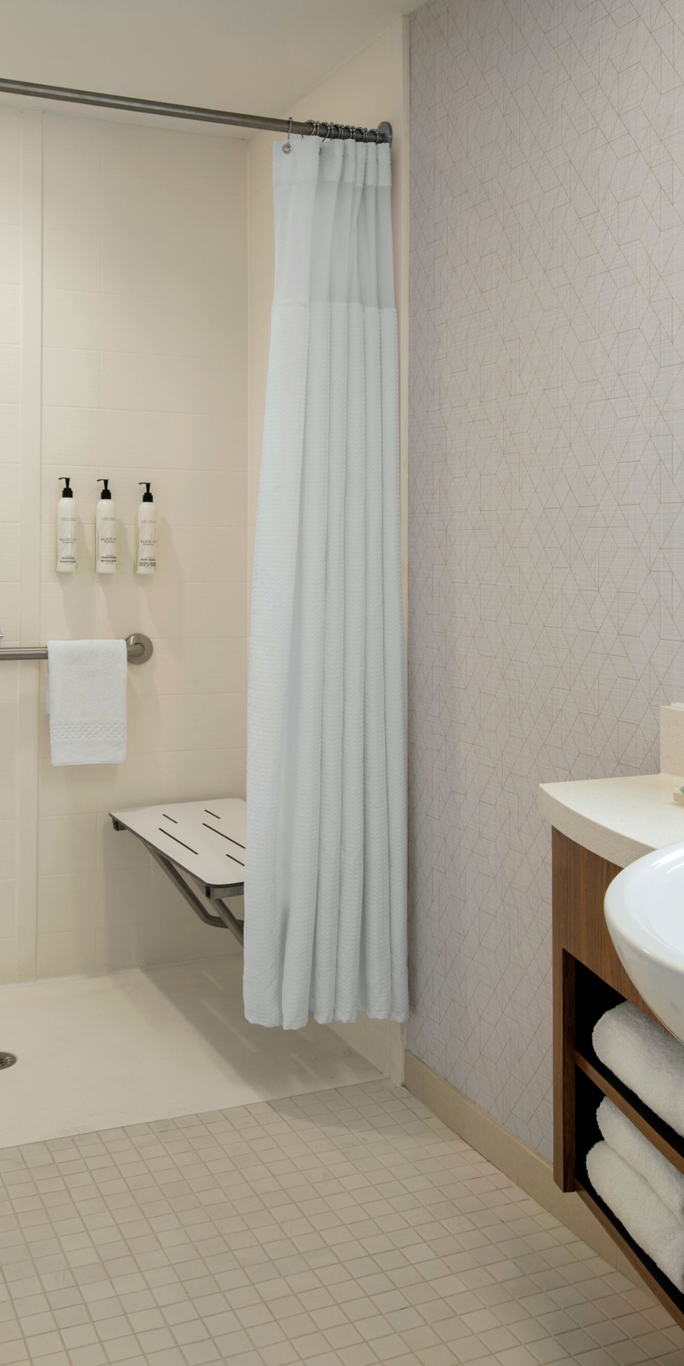 ADA bathroom with roll-in shower