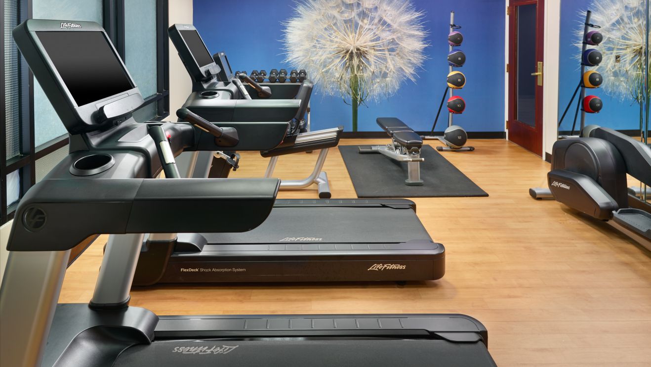 treadmills, bench, free weights, elliptical 