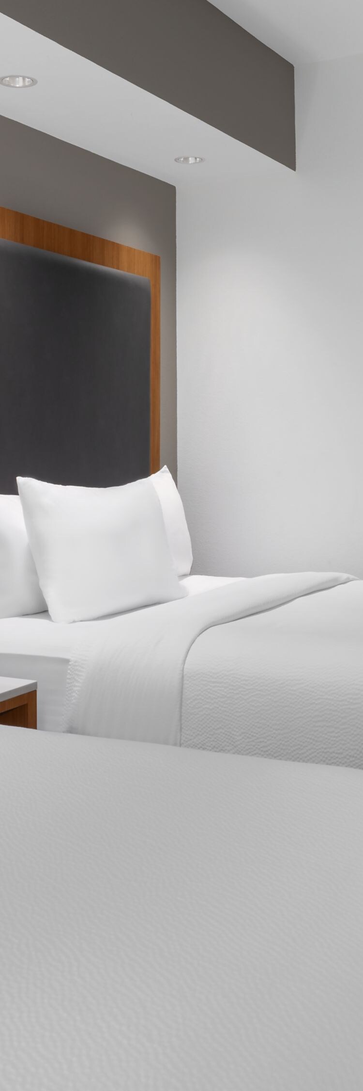 Suite with two beds, TV, and seating area