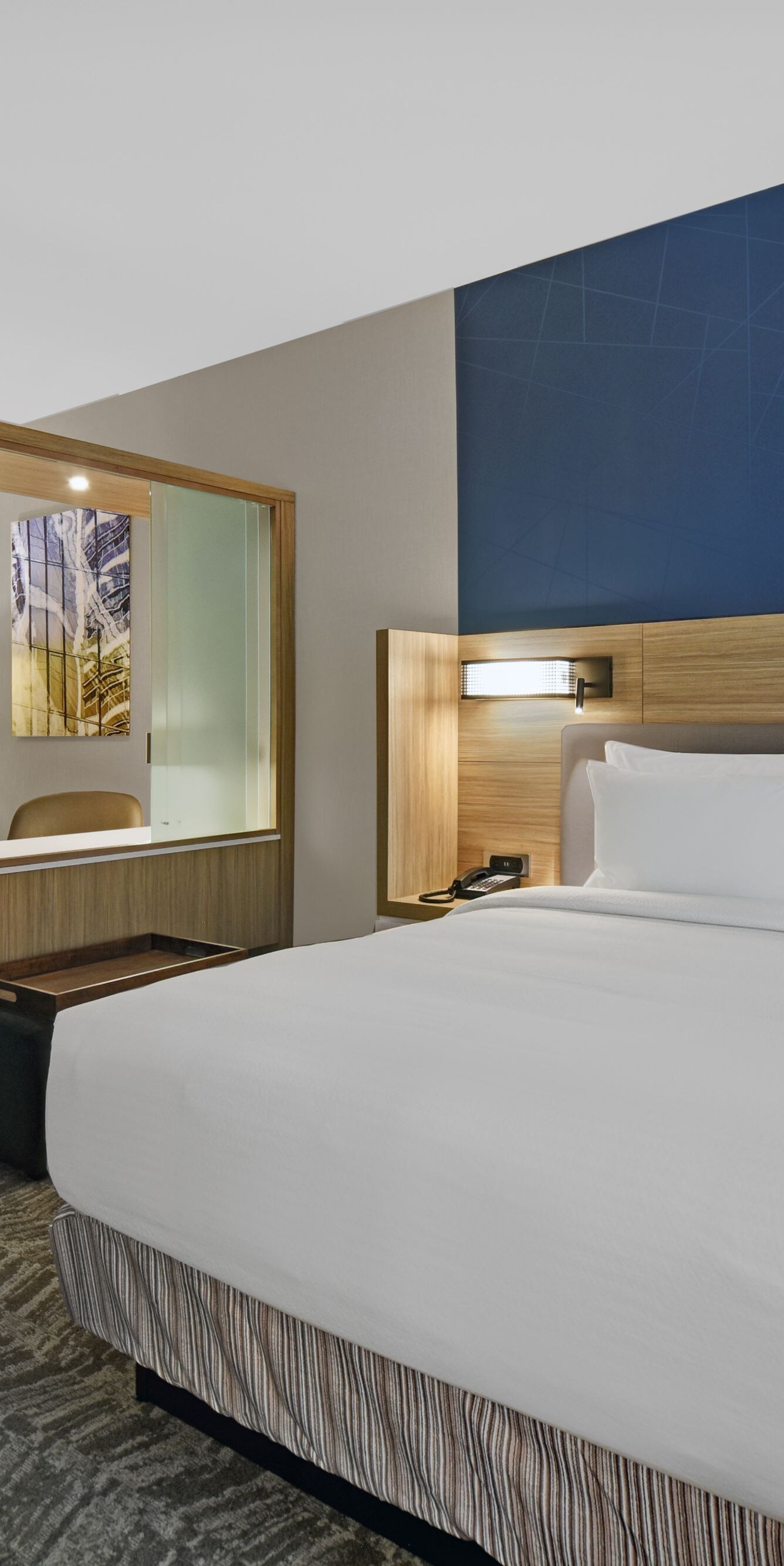 King Suite and Sleeper Sofa