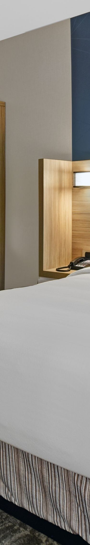 King Suite and Sleeper Sofa