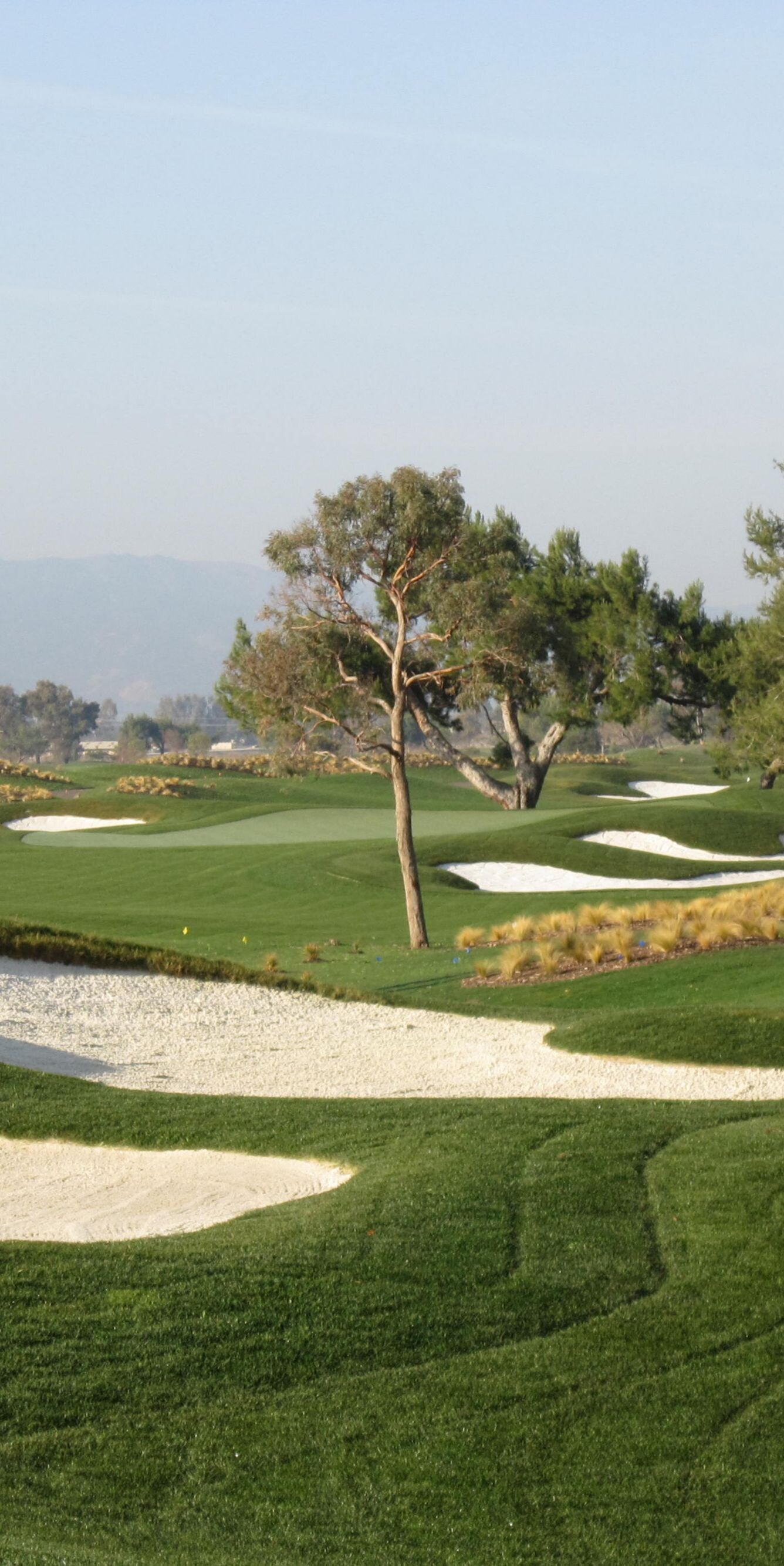 Scenic golf course fairway and sand bunkers