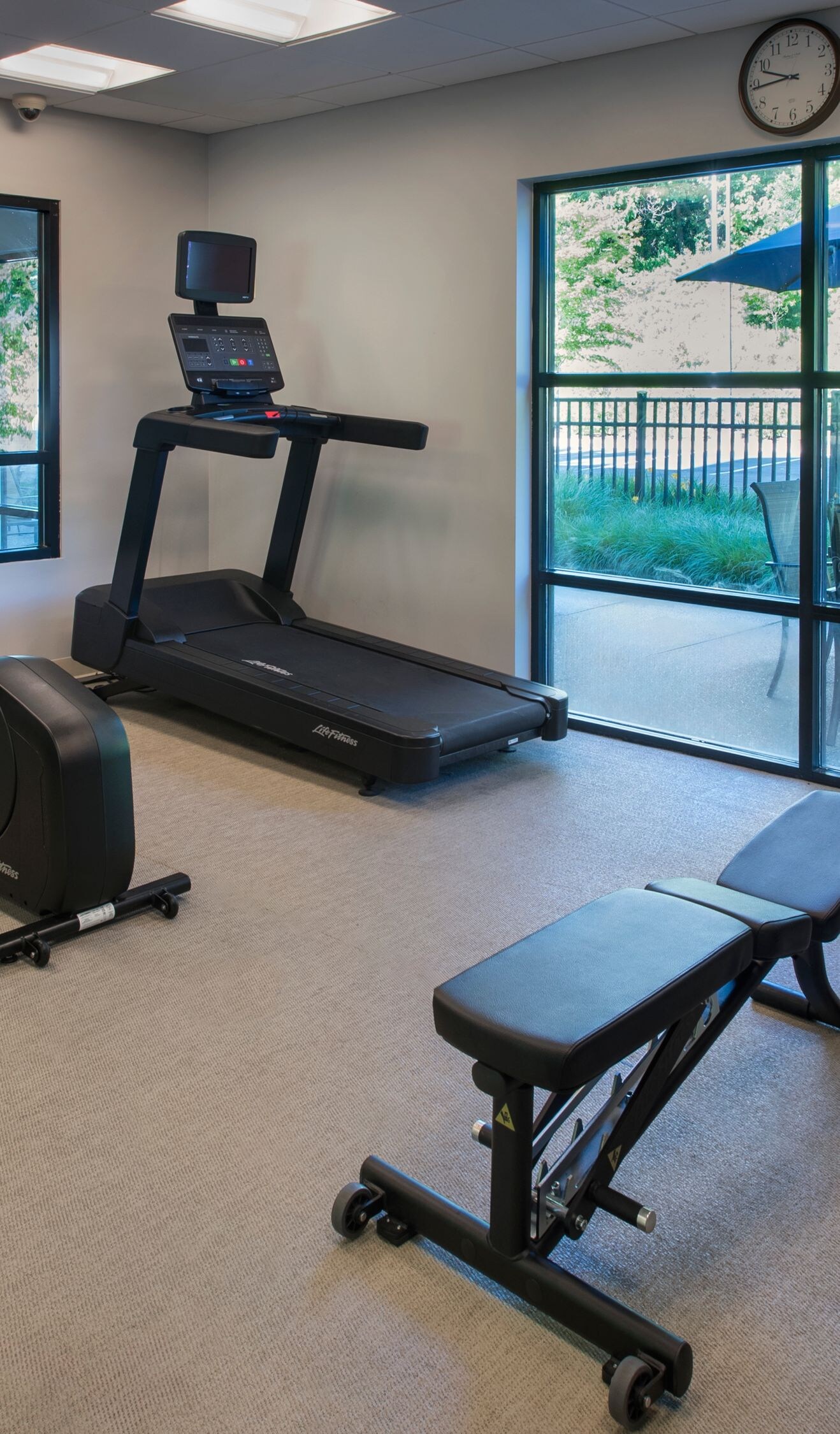 Free weights and cardio machines