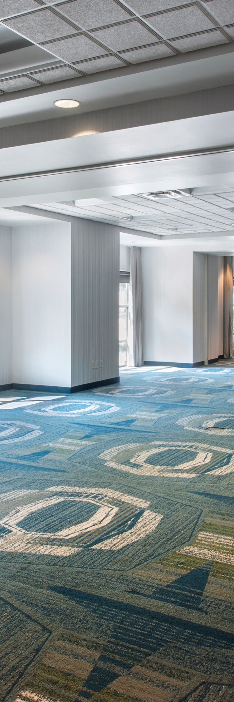 meeting space with patterned carpet and windows