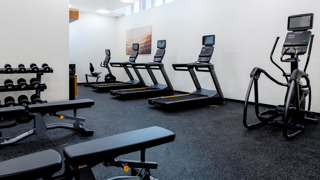 Fitness Center Free Weights Cardio Machines