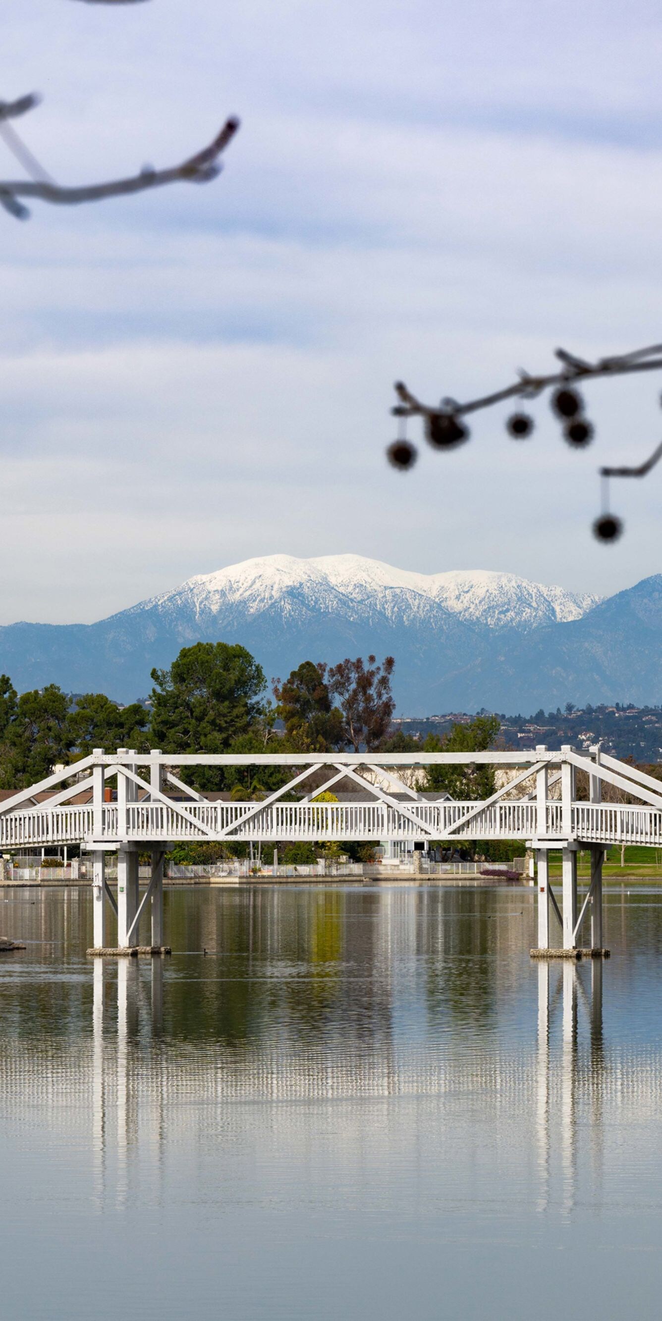 white pedestrian bridge over calm water