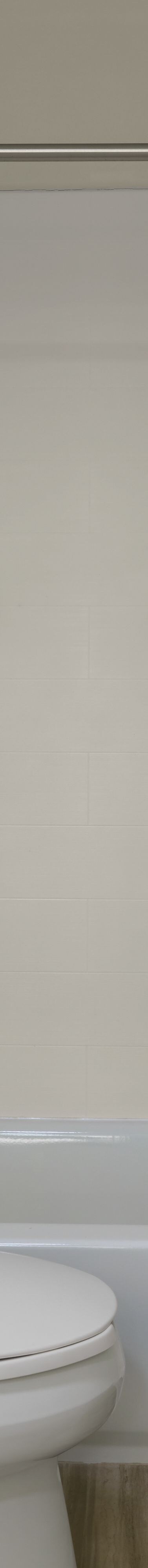 Bathtub/shower with grab bars