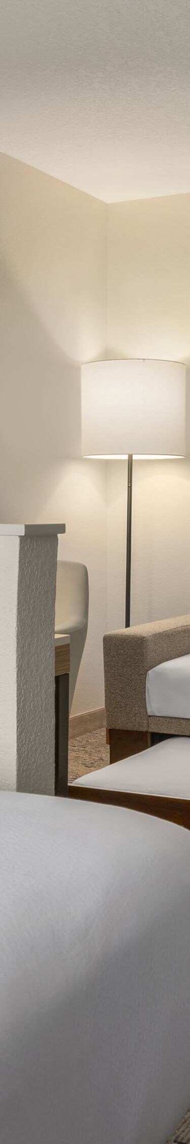 Studio suite with sofa trundle bed