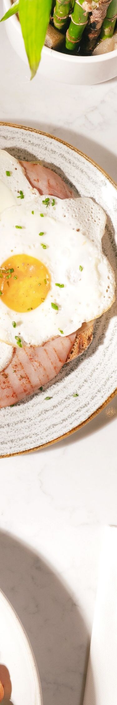 Dish 4 Commune