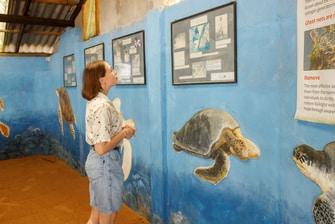 Educational Tour at the Turtle Conservation Centre
