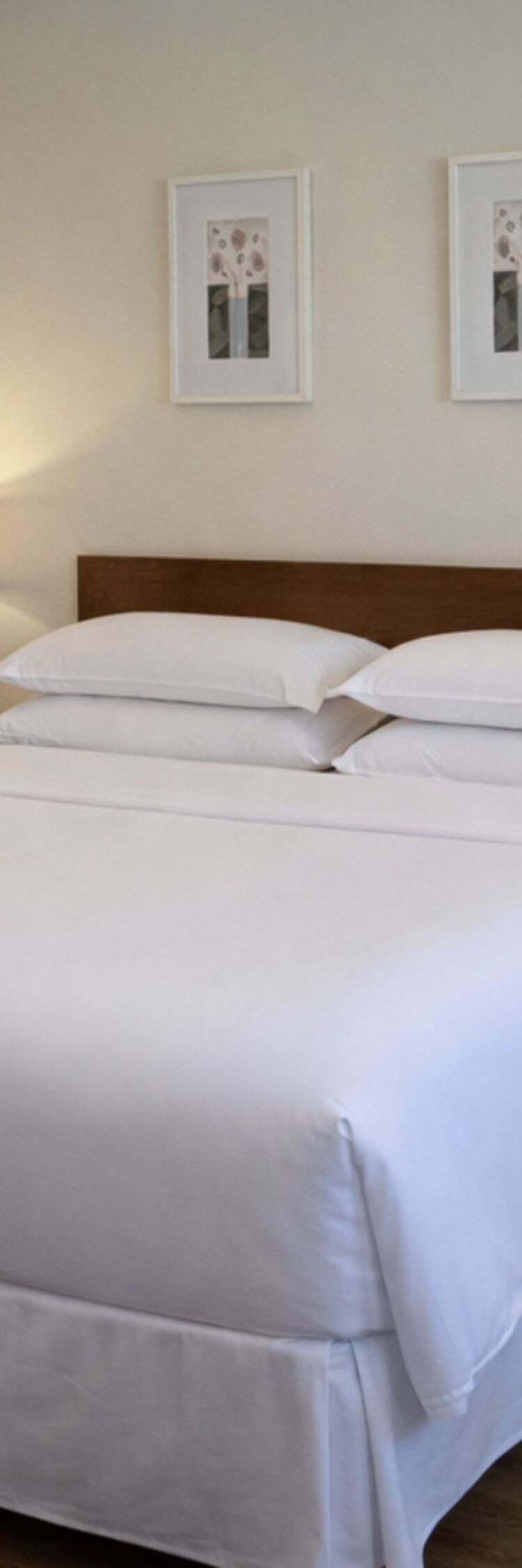 Guestroom Mayoral