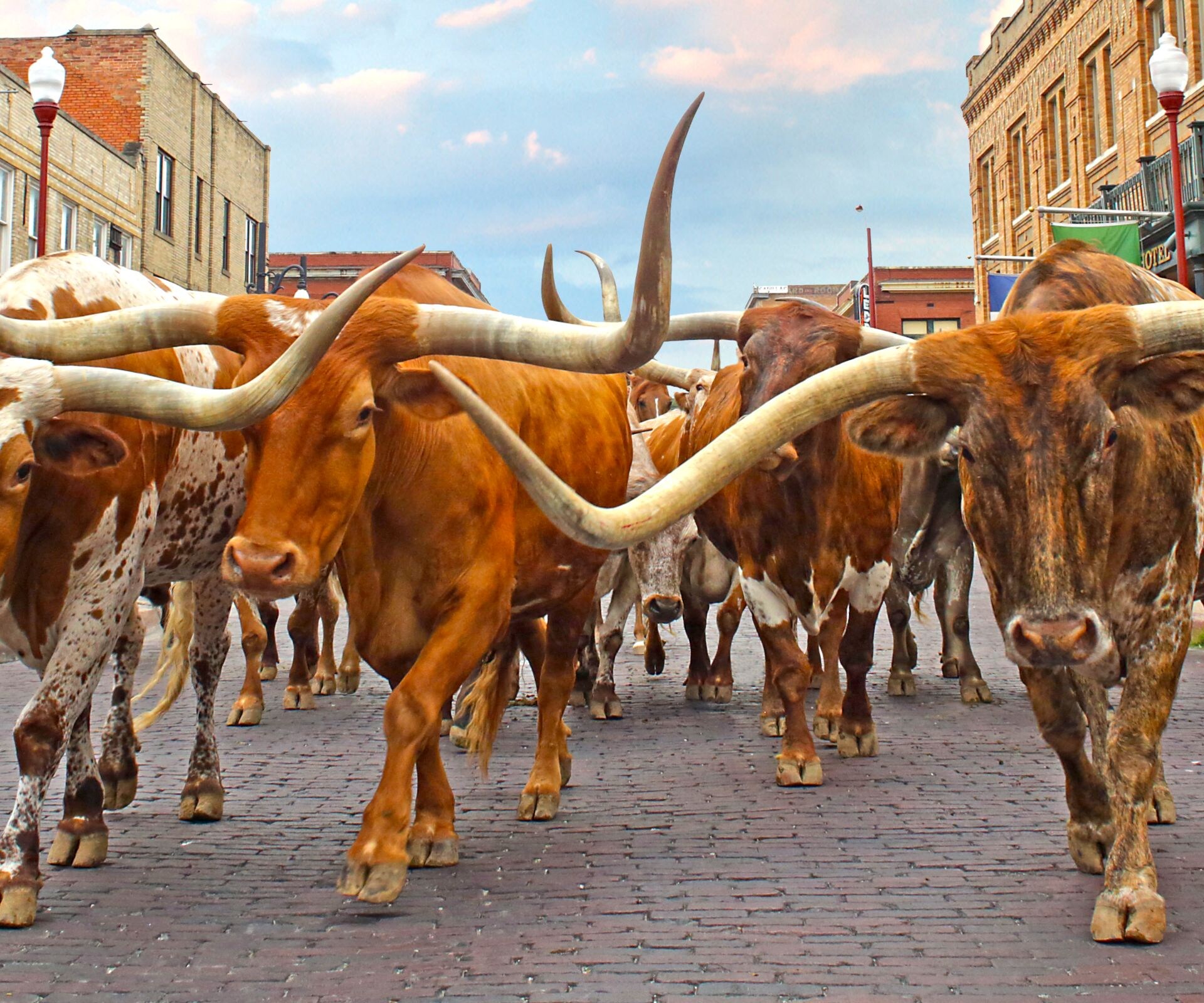 Fort Worth Stockyards