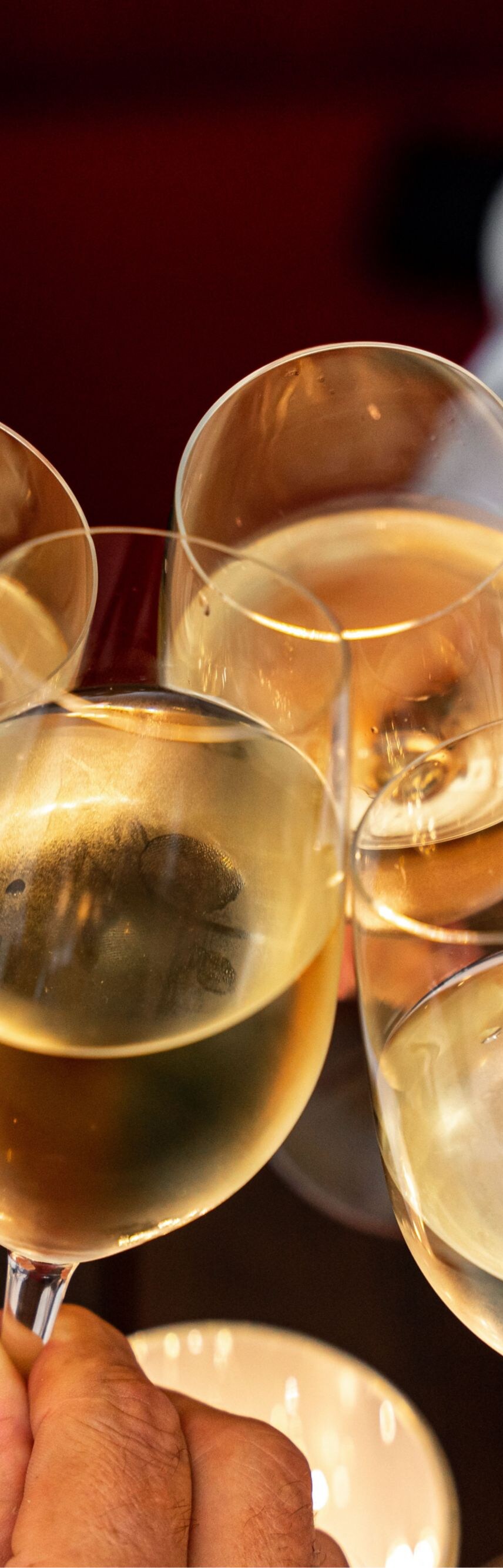 Guests cheering with wine at the restaurant