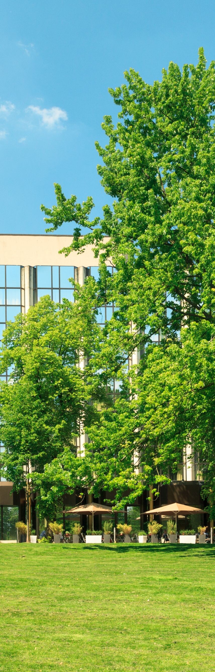 Outside Terrace at Park