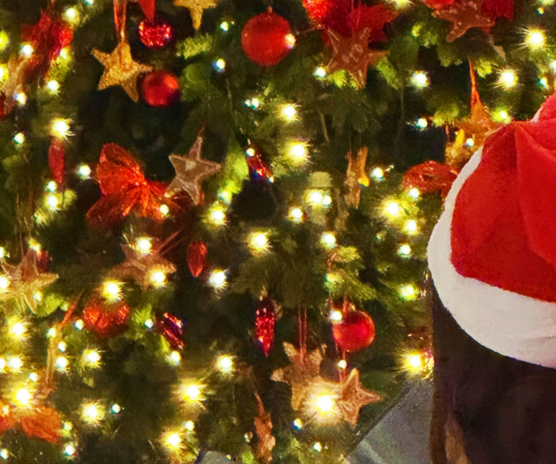Tree Lighting Ceremony