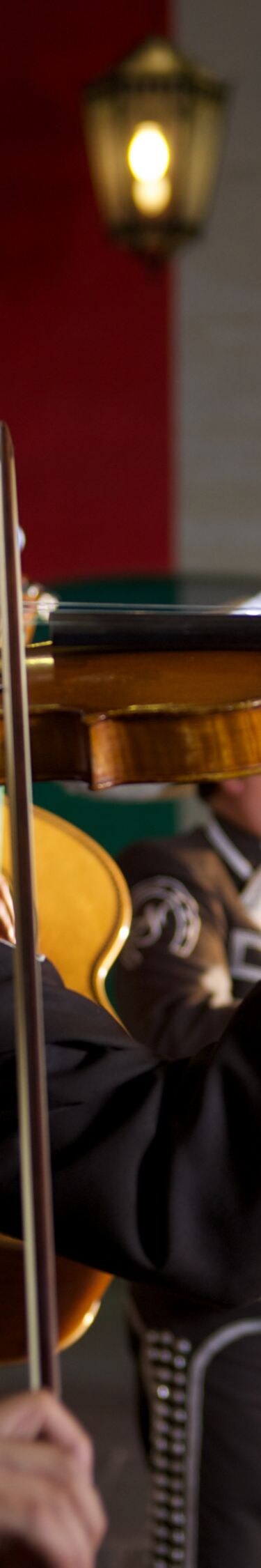 Meixcan Mariachi band playing