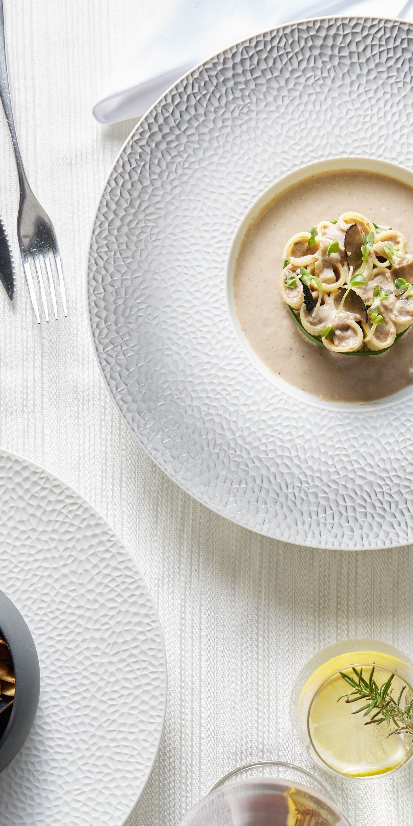 Gourmet dishes on the table