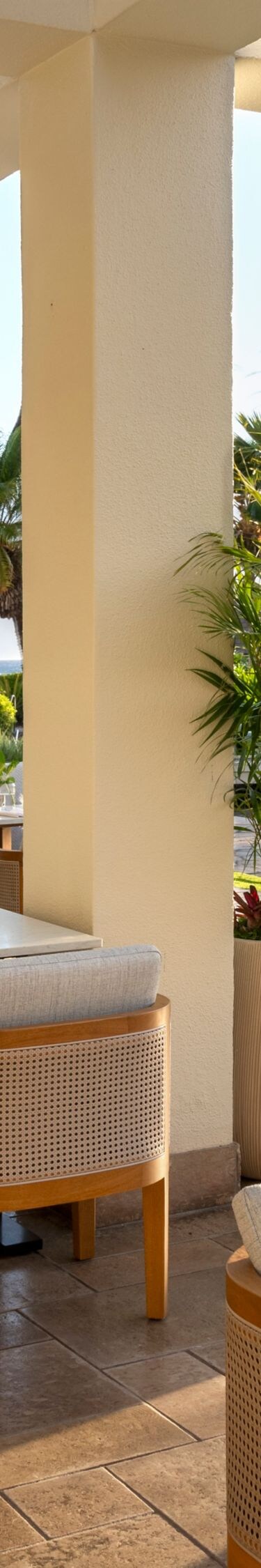 Restaurant-Außenterrasse mit Palmen