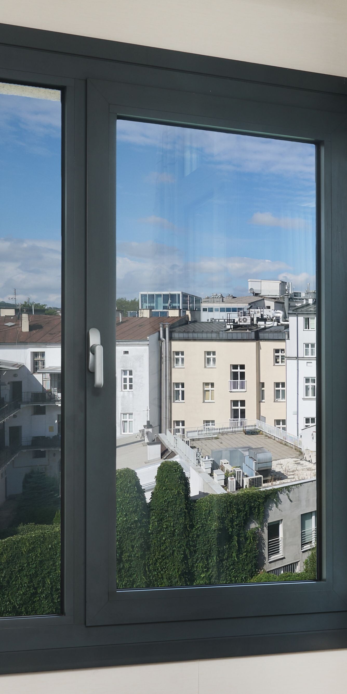 Residential and greenery view from guest room
