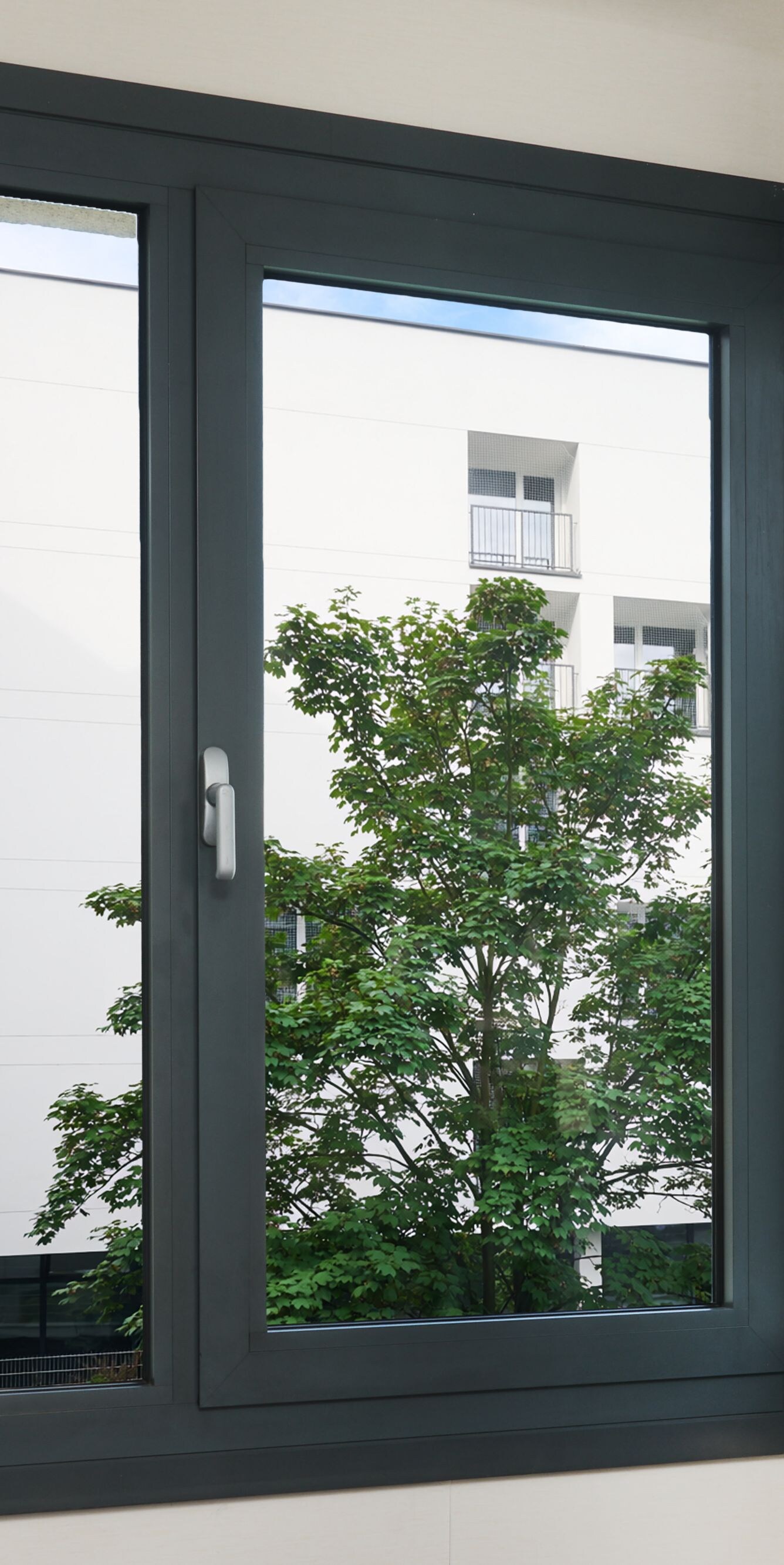Residential neighborhood view from guest room