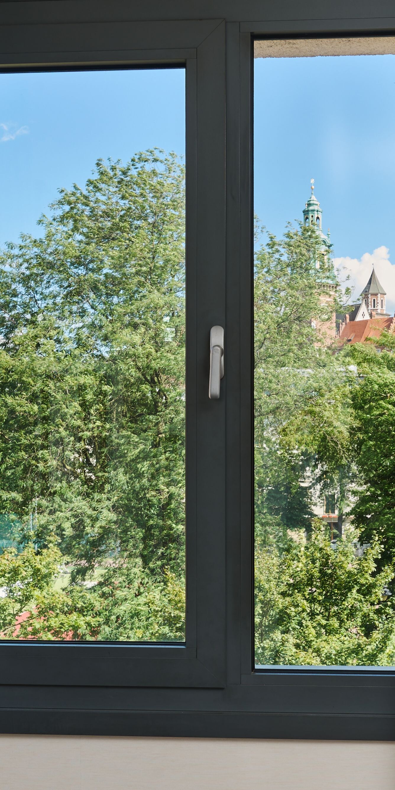 Wawel Castle view with greenery
