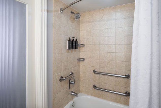 Traditional Room Accessible Bathroom with Tub