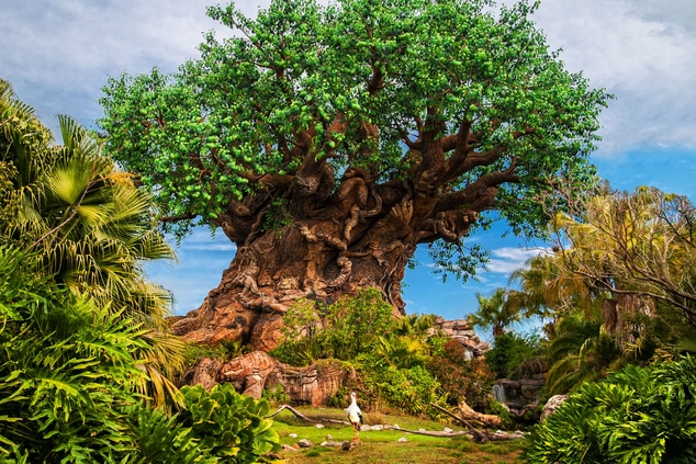tree of life at Disney s animal kingdom