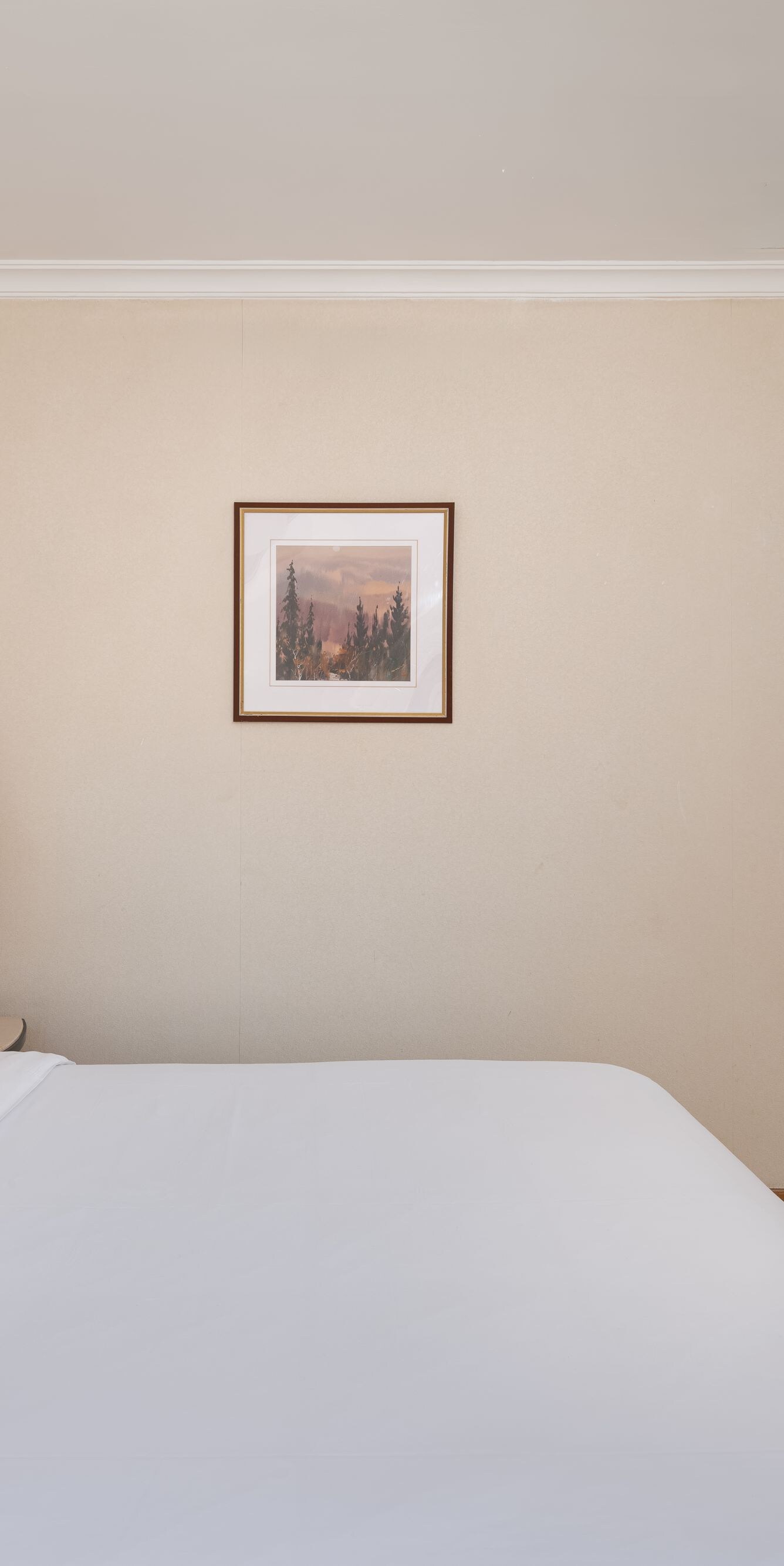 Room with king size bed
