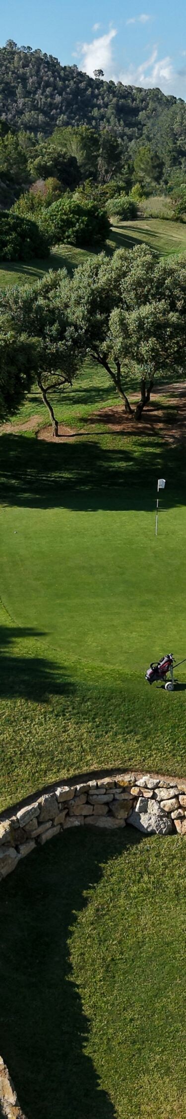 Son Vida fairway view