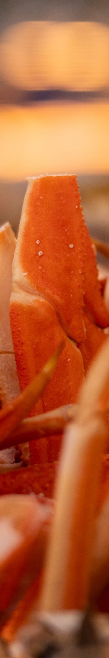 Fresh crab legs and seafood on ice