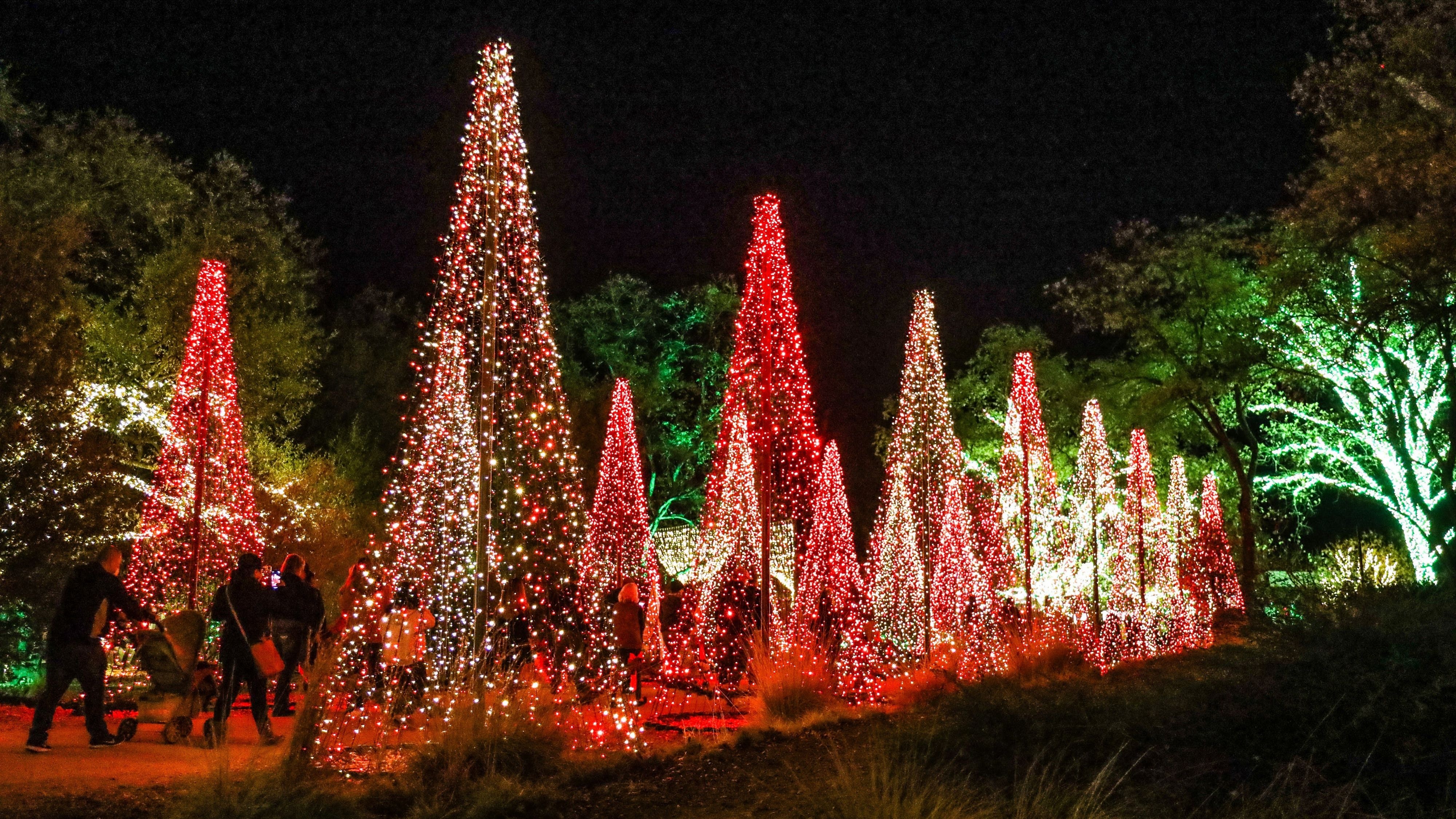 Garden of Lights 2026
