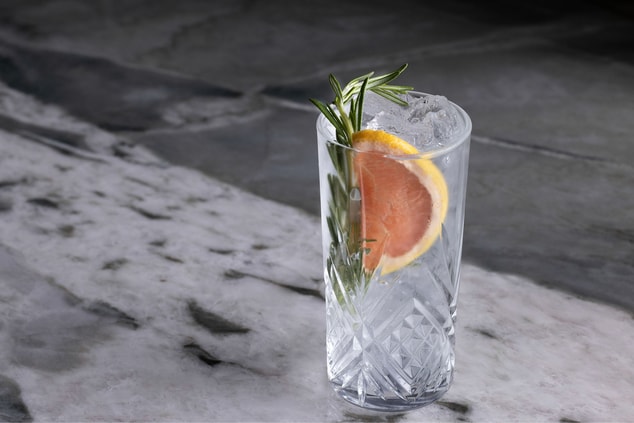 clear cocktail in ornate highball glass