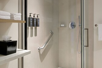 Guest room, bath, shower